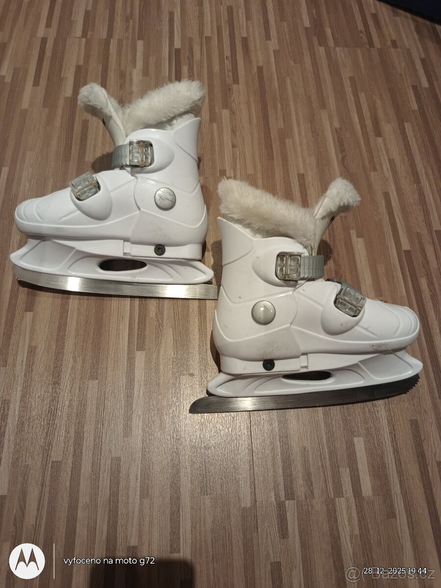 Rostoucí brusle lední - 2