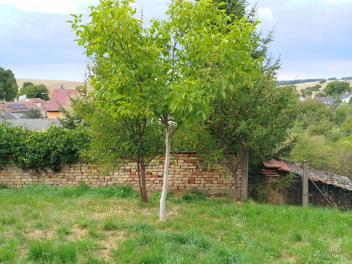 Stavební pozemek čisté prostředí 842 m² Lubná u Kroměříže - 2