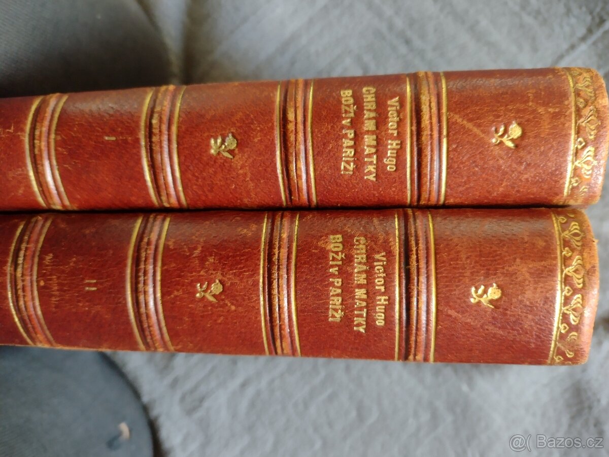 Chrám Matky Boží v Paříži - 2