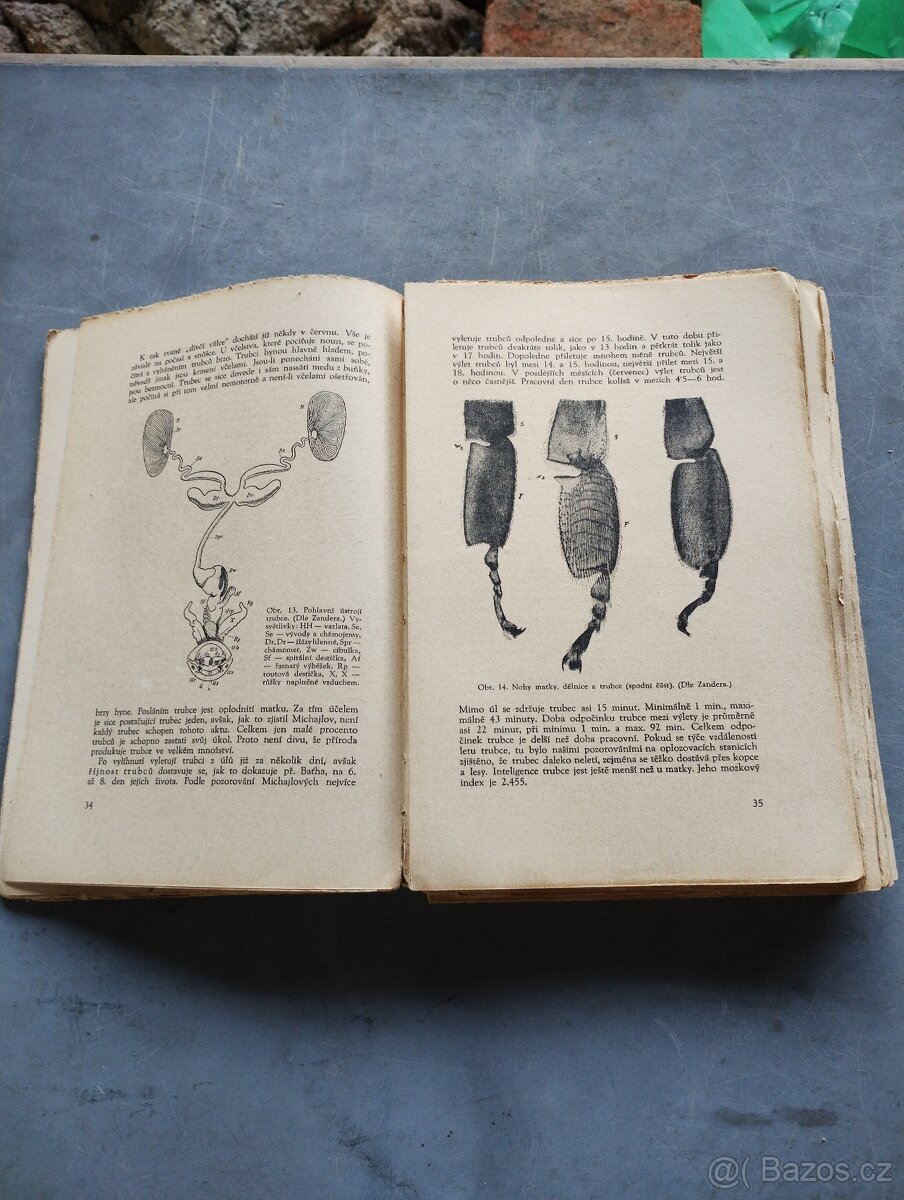 Stará kniha včelařství - 2