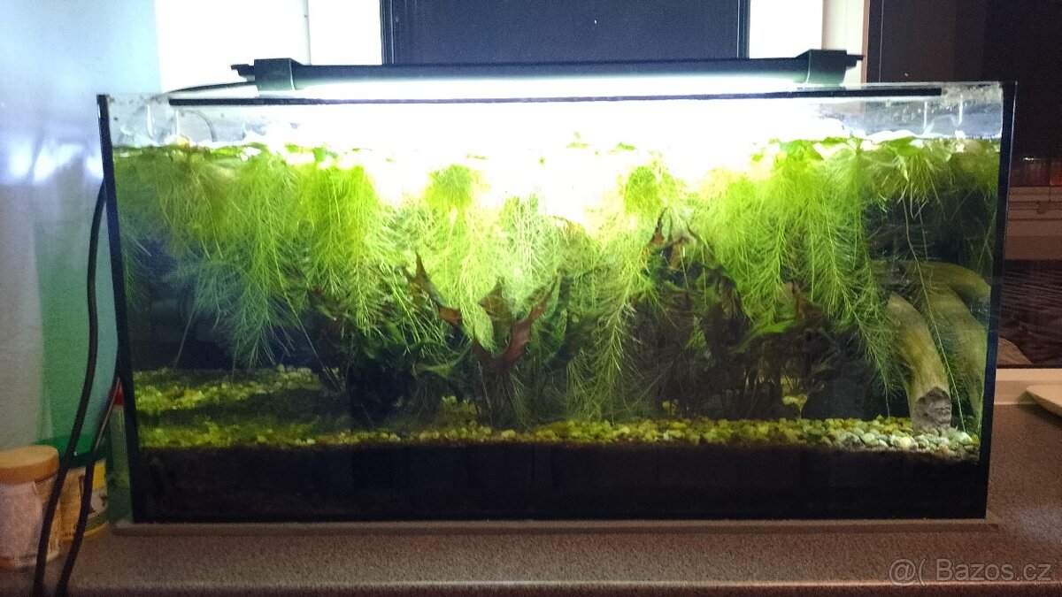 Akvárium 70l, světlo Juwel, filtr Eheim - 2