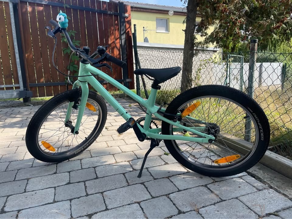 DĚTSKÉ KOLO SPECIALIZED JETT 20 GLOSS OASIS / FOREST GREEN - 2
