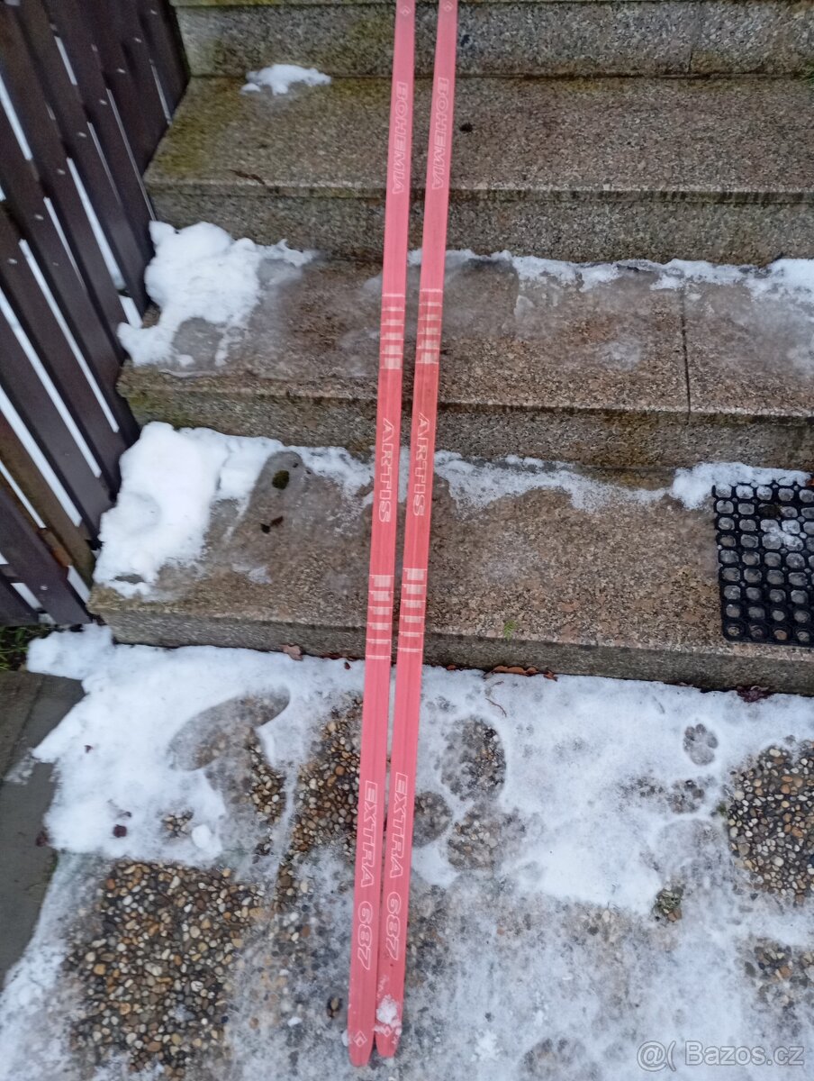 Běžky Artis Bohemia - 2