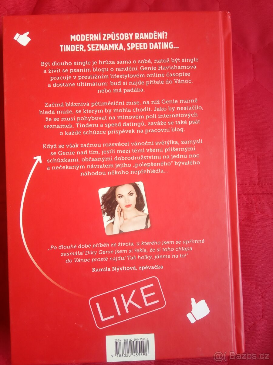 Jenny Stallard: HLEDÁM CHLAPA DO VÁNOC - 2