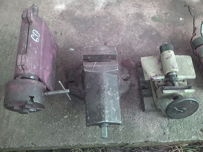 zverák, koník, ... - 2