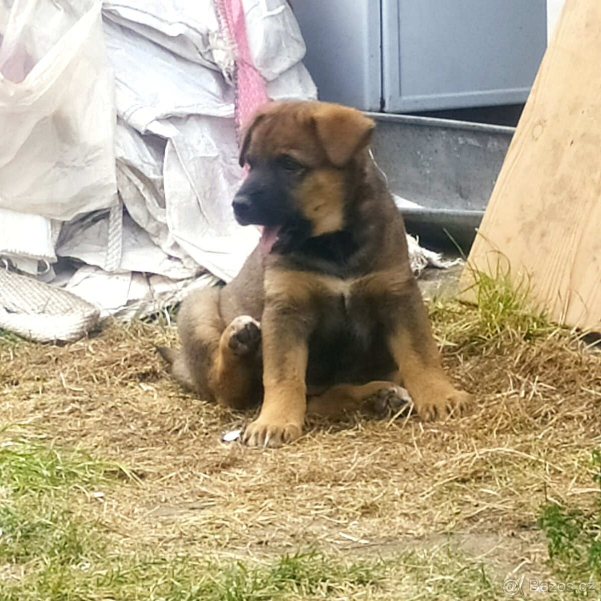 Stěně - 2