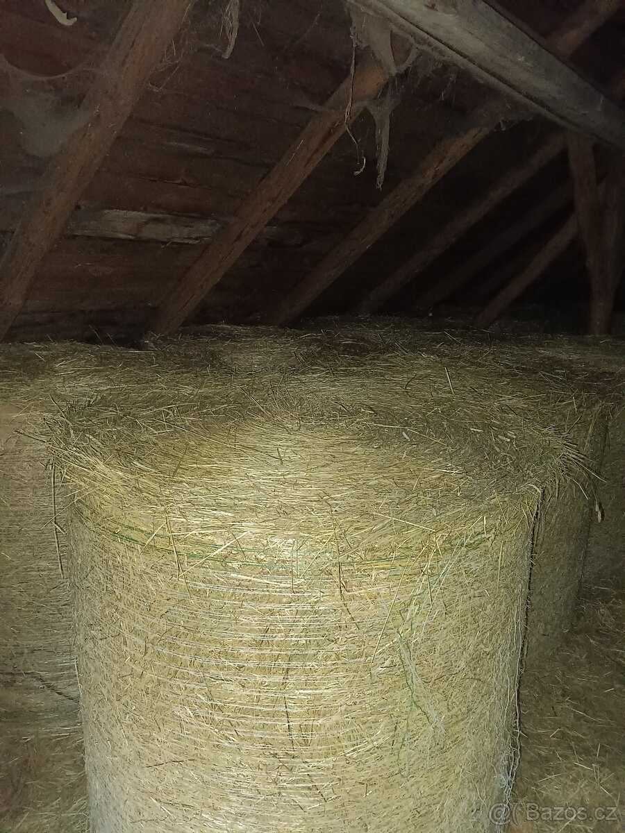 Prodám seno - 2