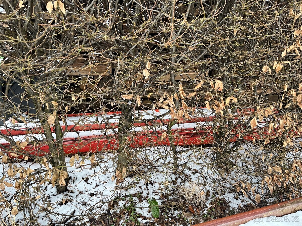 Pletivo na volieru - 2