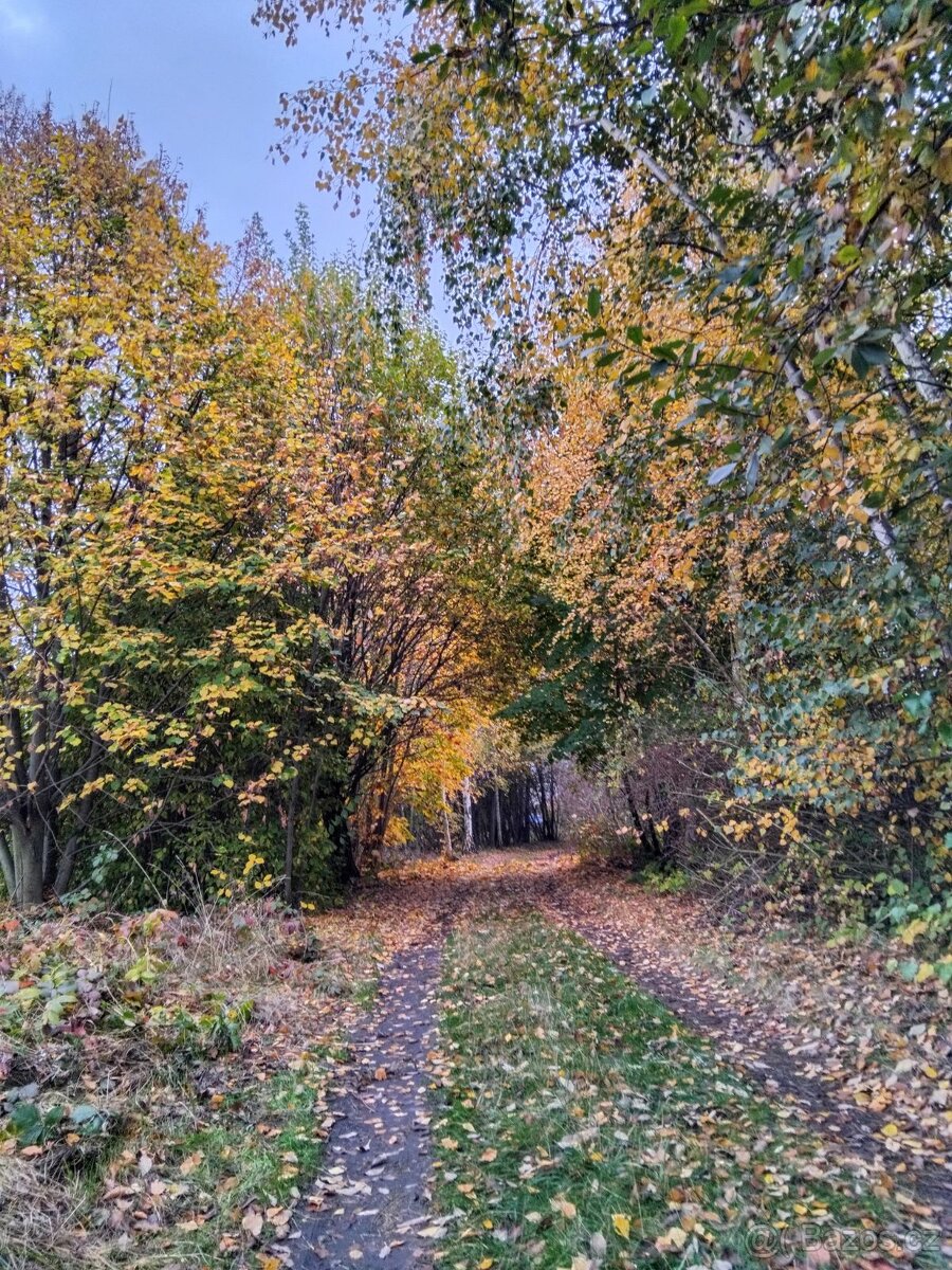 Prodej zahrady s chatou v Čáslavi - 2