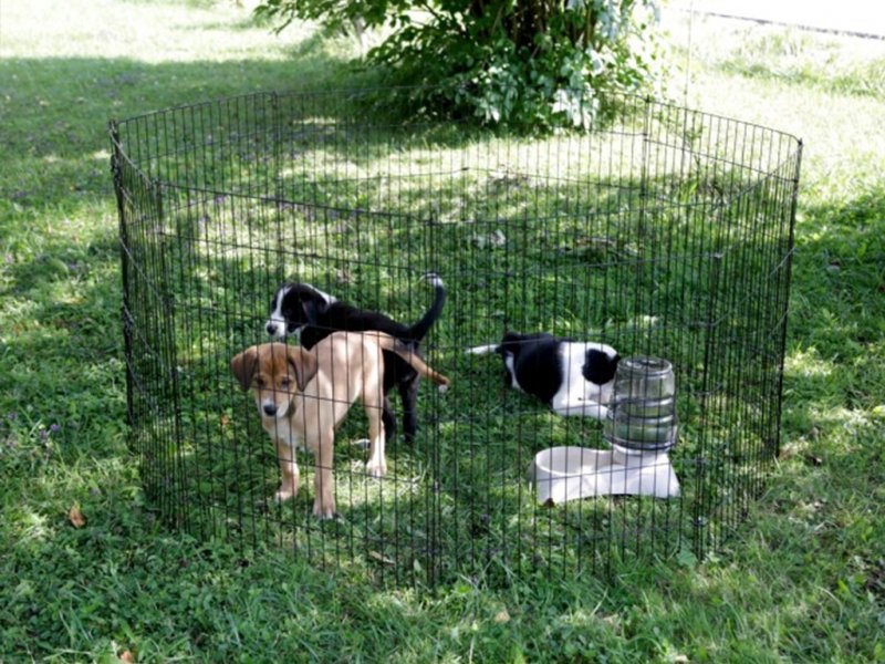 Výběh pro štěňata 8x 57 x 78 cm - 2