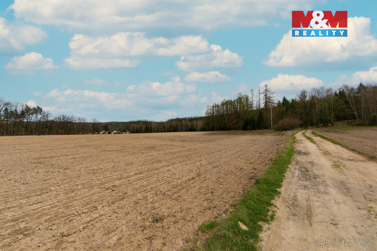 Prodej pole, 5839 m², Předenice - 2
