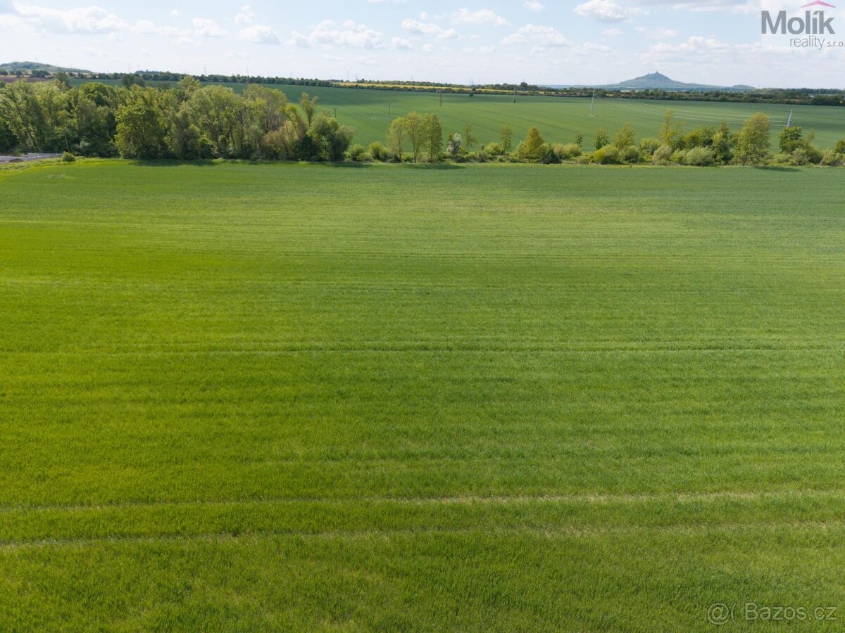 Pozemek 17476 m2, obec Lovosice - 2