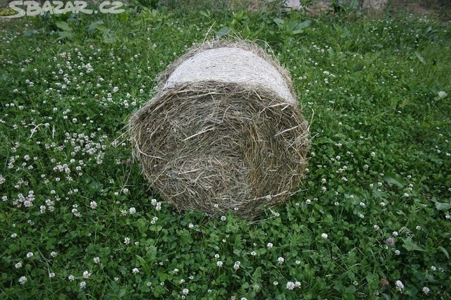 Prodám malé kulaté balíky sena - 2