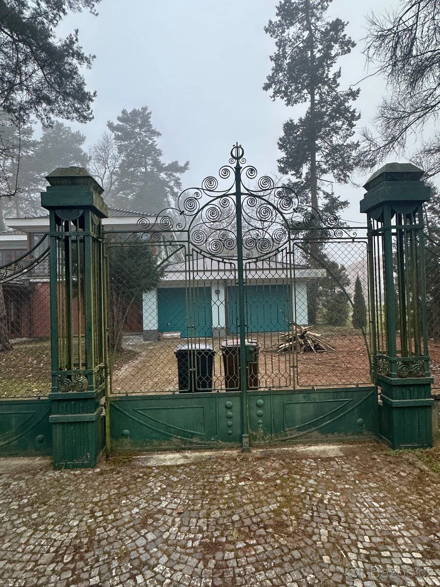 Kovaná brana s plotem - 2