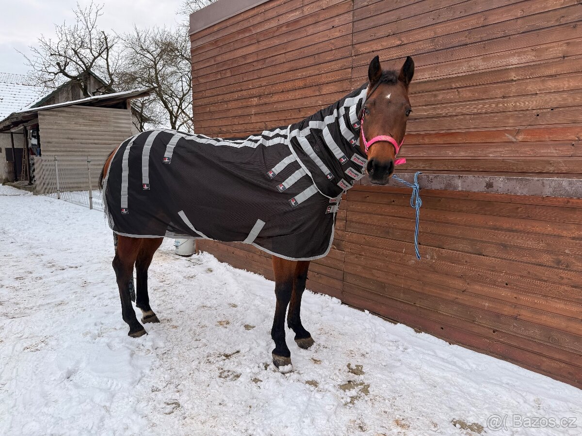 Deka Premier Magnetic Therapy, černá, vel. 130/175 cm - 2