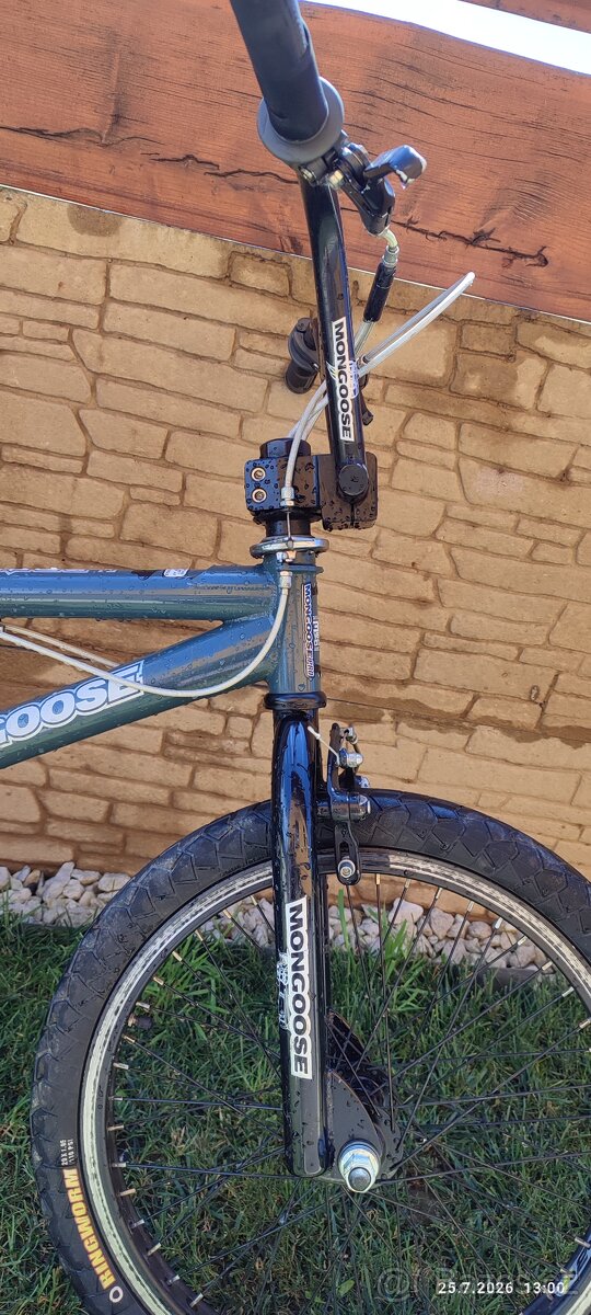 Mongoose Pro - 2