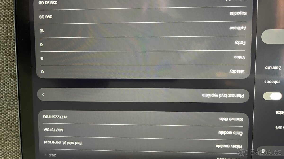 Ipad mini 256 gb - 2