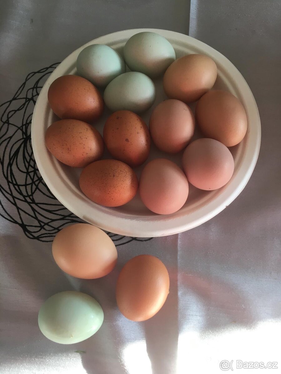 Domácí slepičí vajíčka - 2