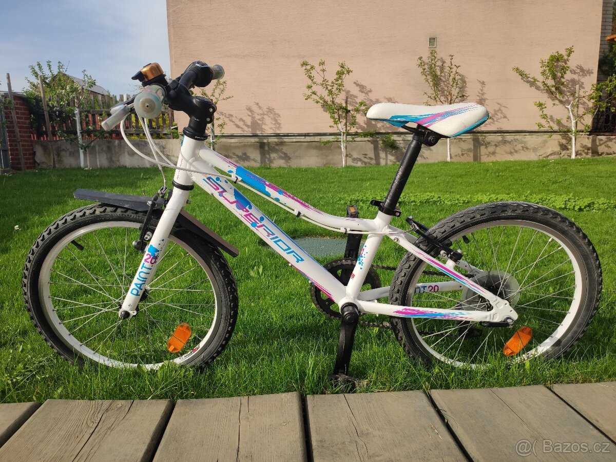 Superior Paint 20 - 2