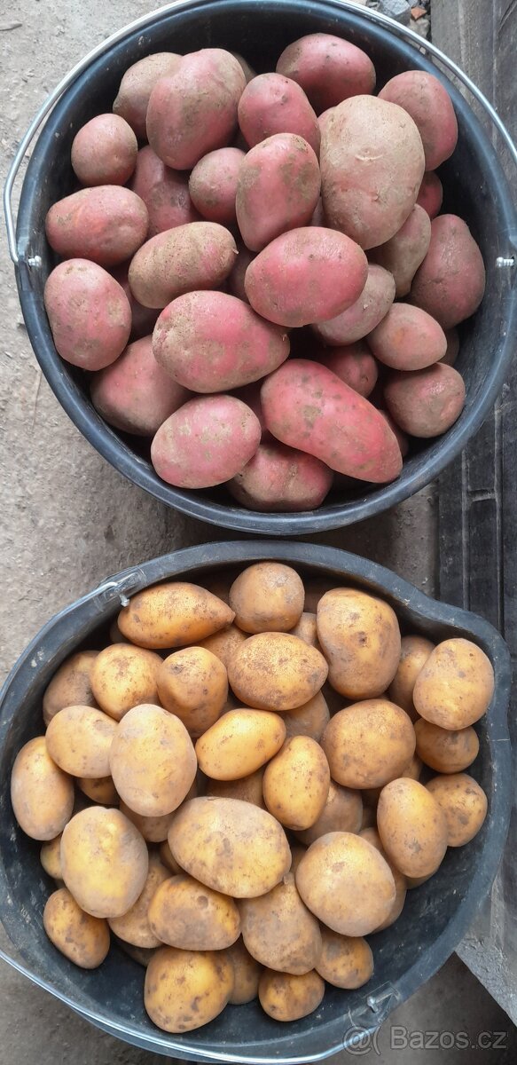 Domácí brambory - 2