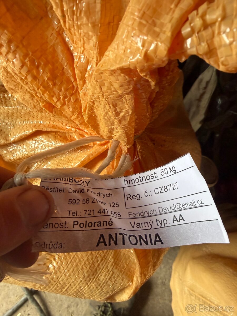 Prodej sadbových brambor - 2