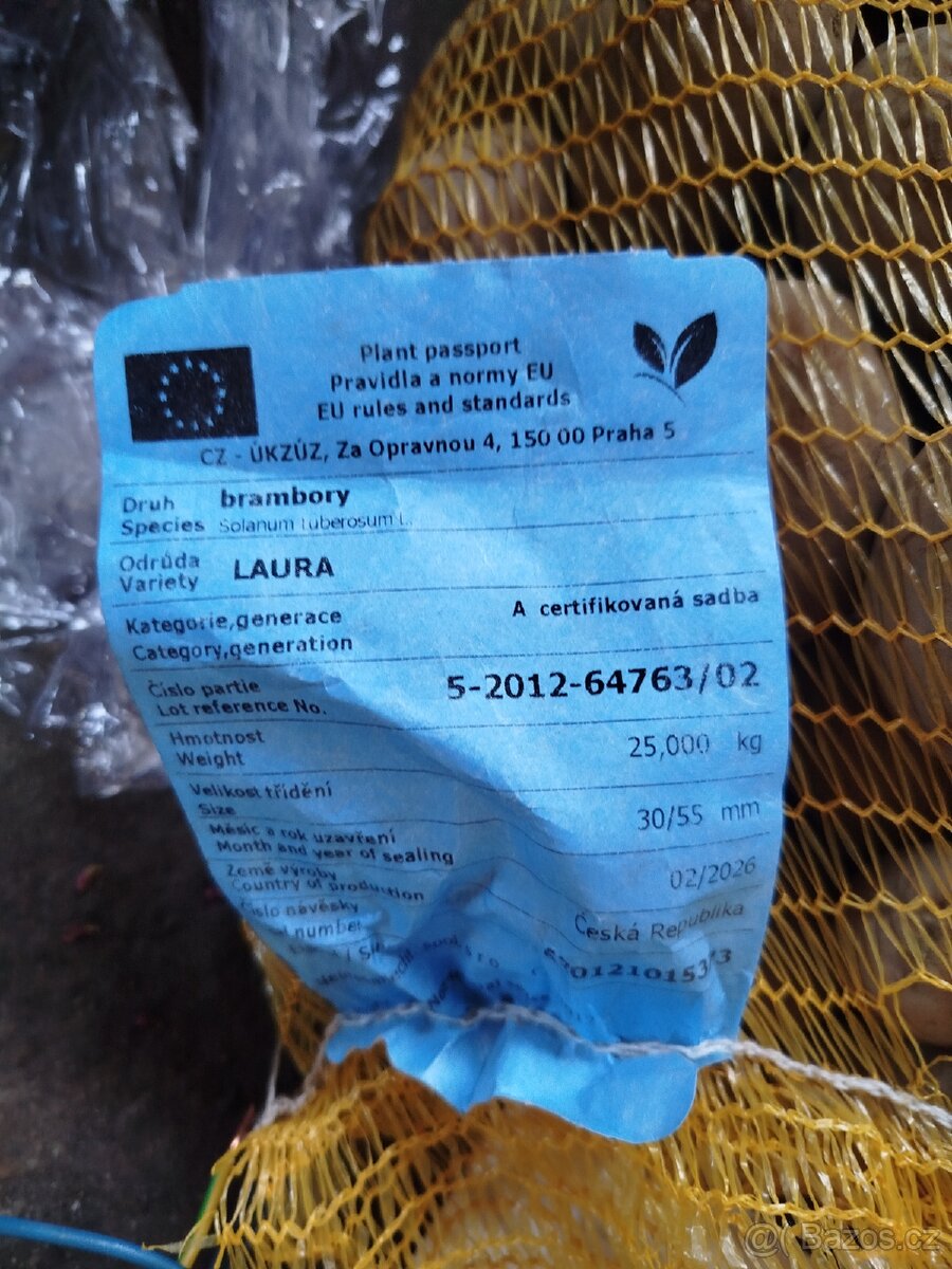 Brambory sadbové - 2