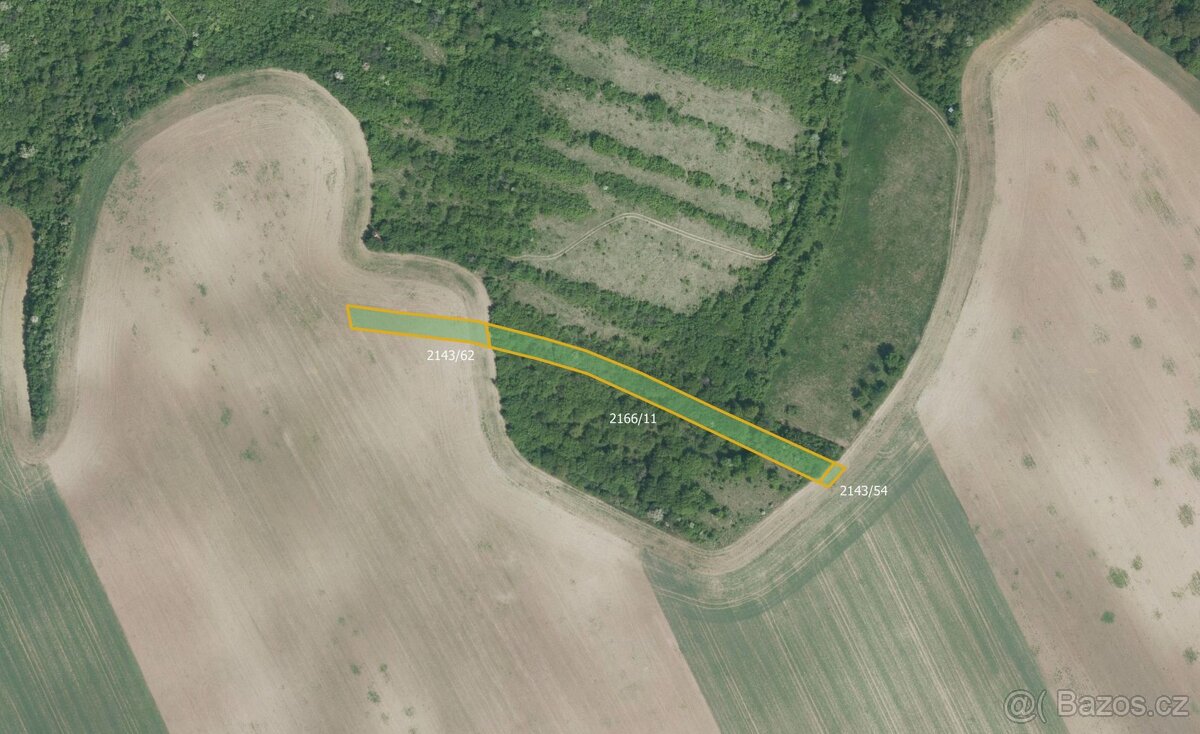 Zemědělská půda, prodej, Ždánice, Hodonín - 2