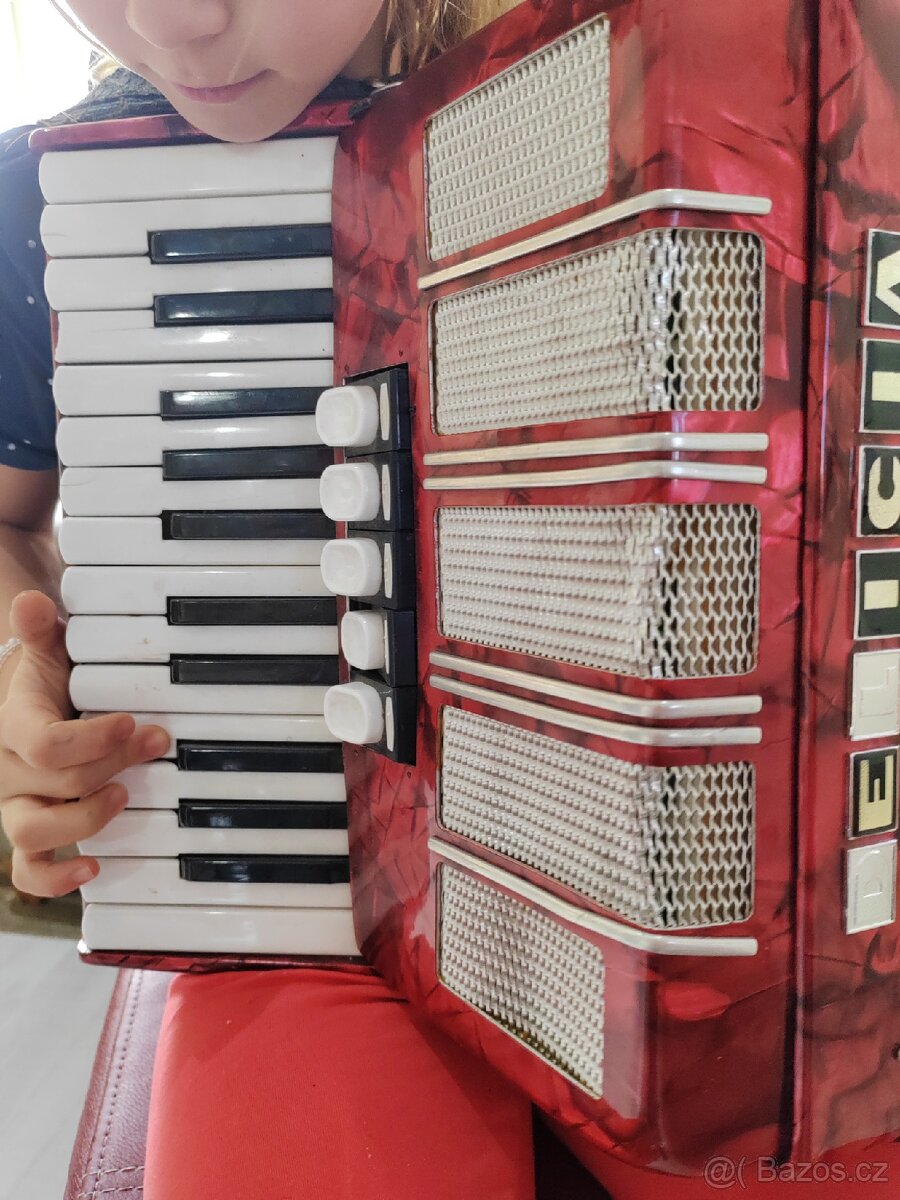 Akordeon Delicia junior - 2