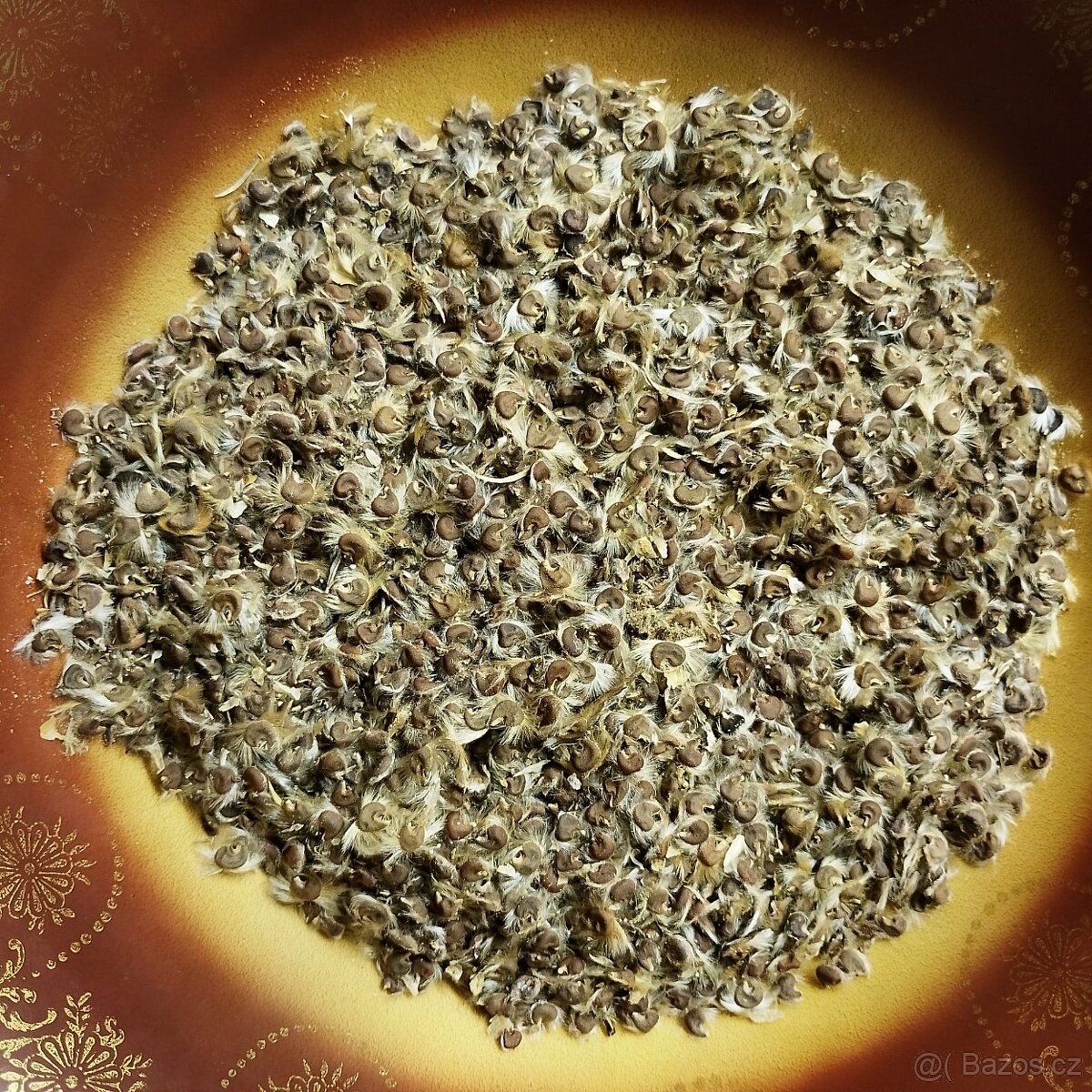 Ibišek syrský - semínka - 2