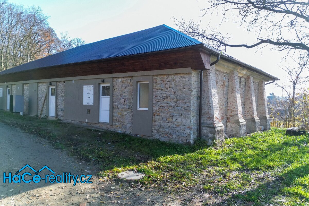 Pronájem bytu 1+kk 35 m², Kvasiny, ev.č. 00132 - 2