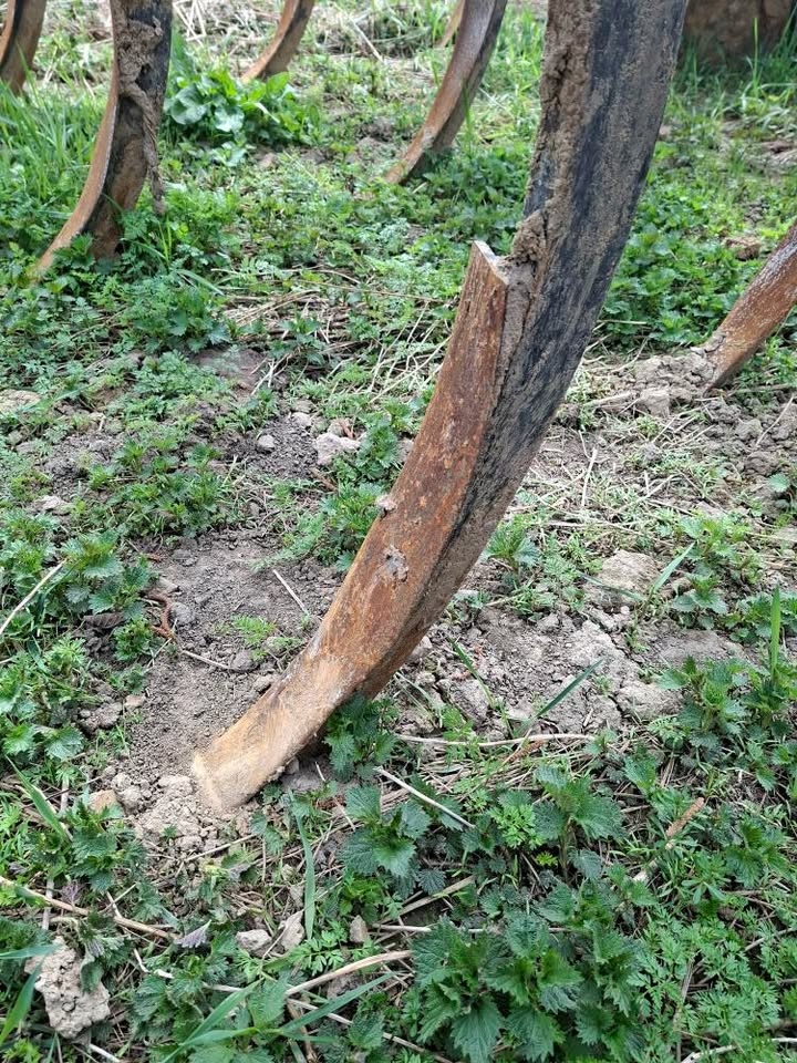 Bednar Fenix EN3000 - 2