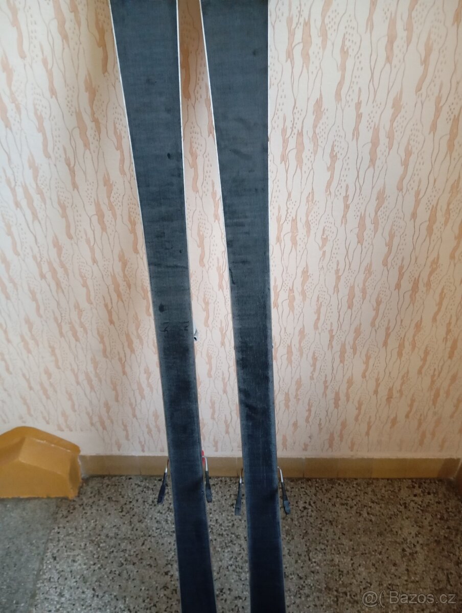 Carvingové lyže Elan - 2