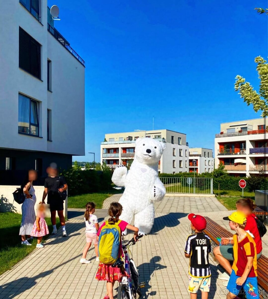 PRONÁJEM KOSTÝMU MEDVĚDA - 2