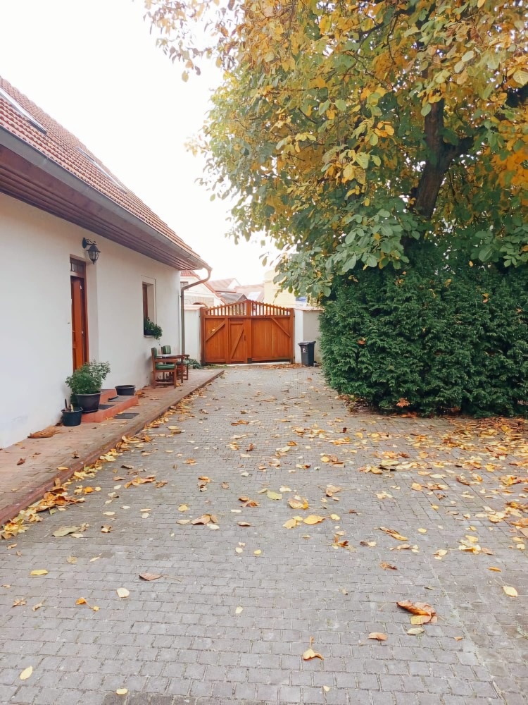 Prodej RD se 3 bytovými jednotkami, Božkovské náměstí, Plzeň - 2