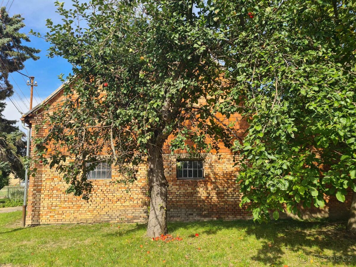 Prodej RD 3+1 a stavební pozemek v obci Louka - 2