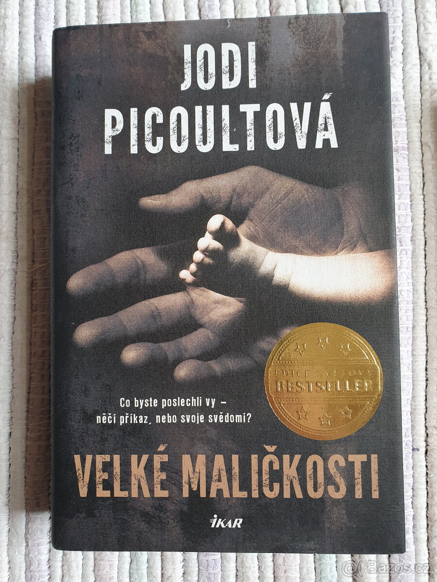 Velké maličkosti - Jodi Picoultová - 2