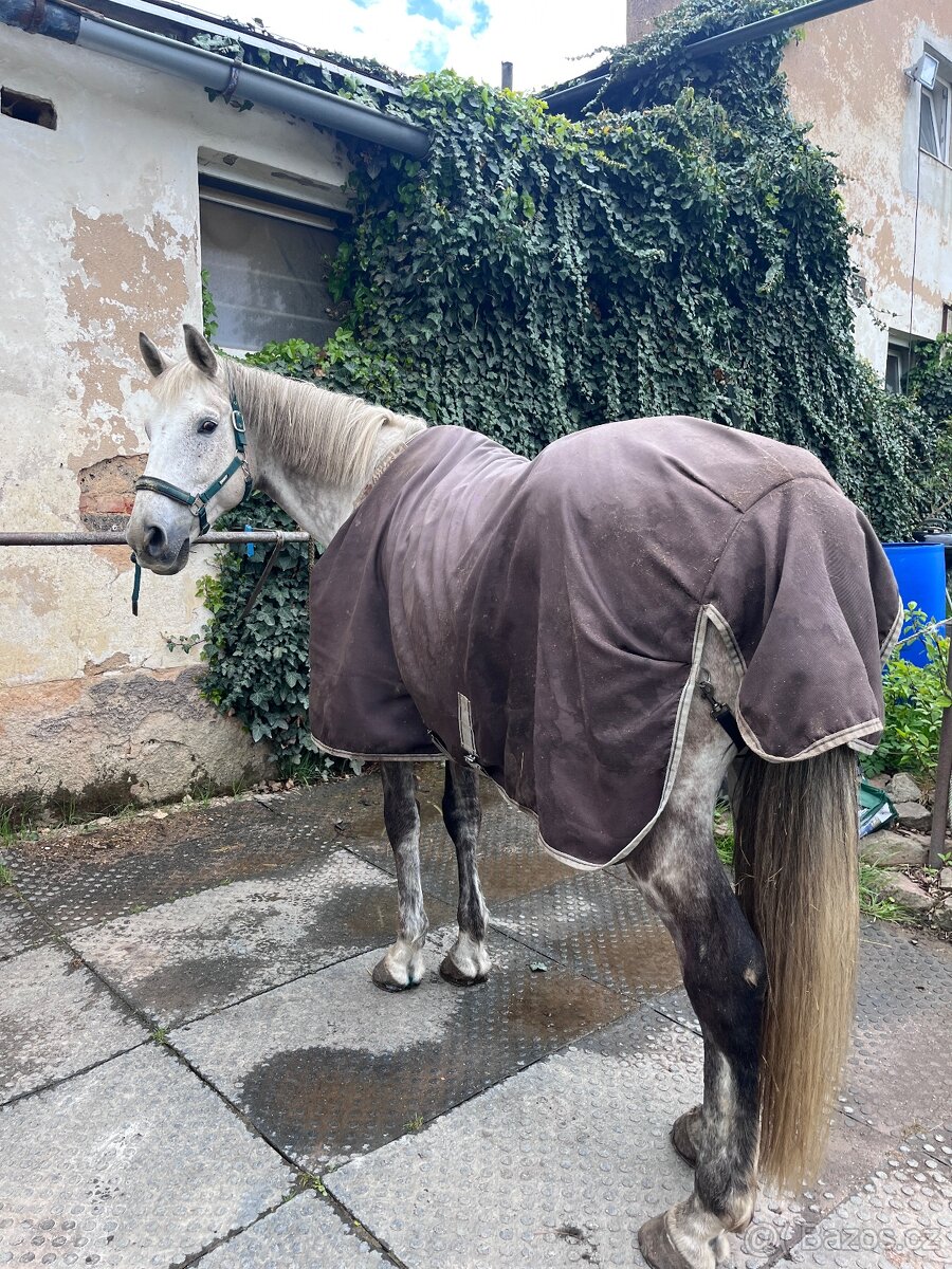 Deka Bucas Smartex 145cm - 2