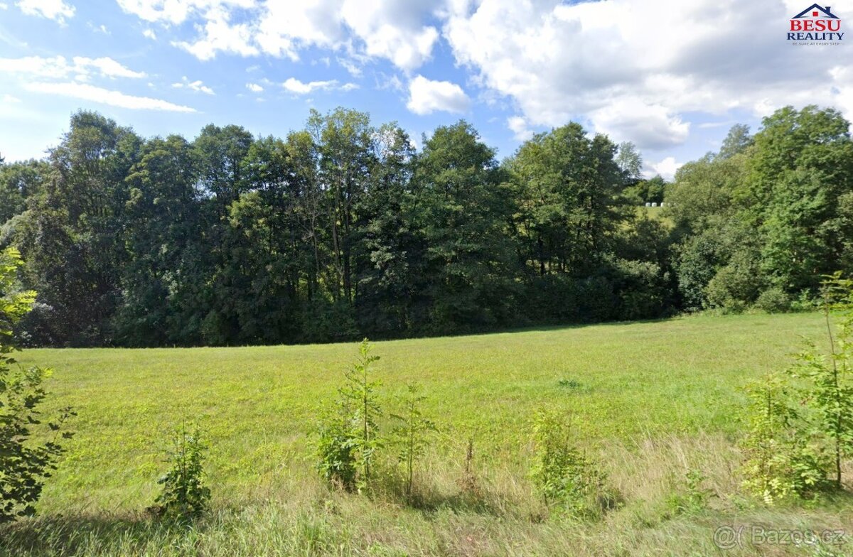 Prodej lesních pozemků 2496 m2 - 2