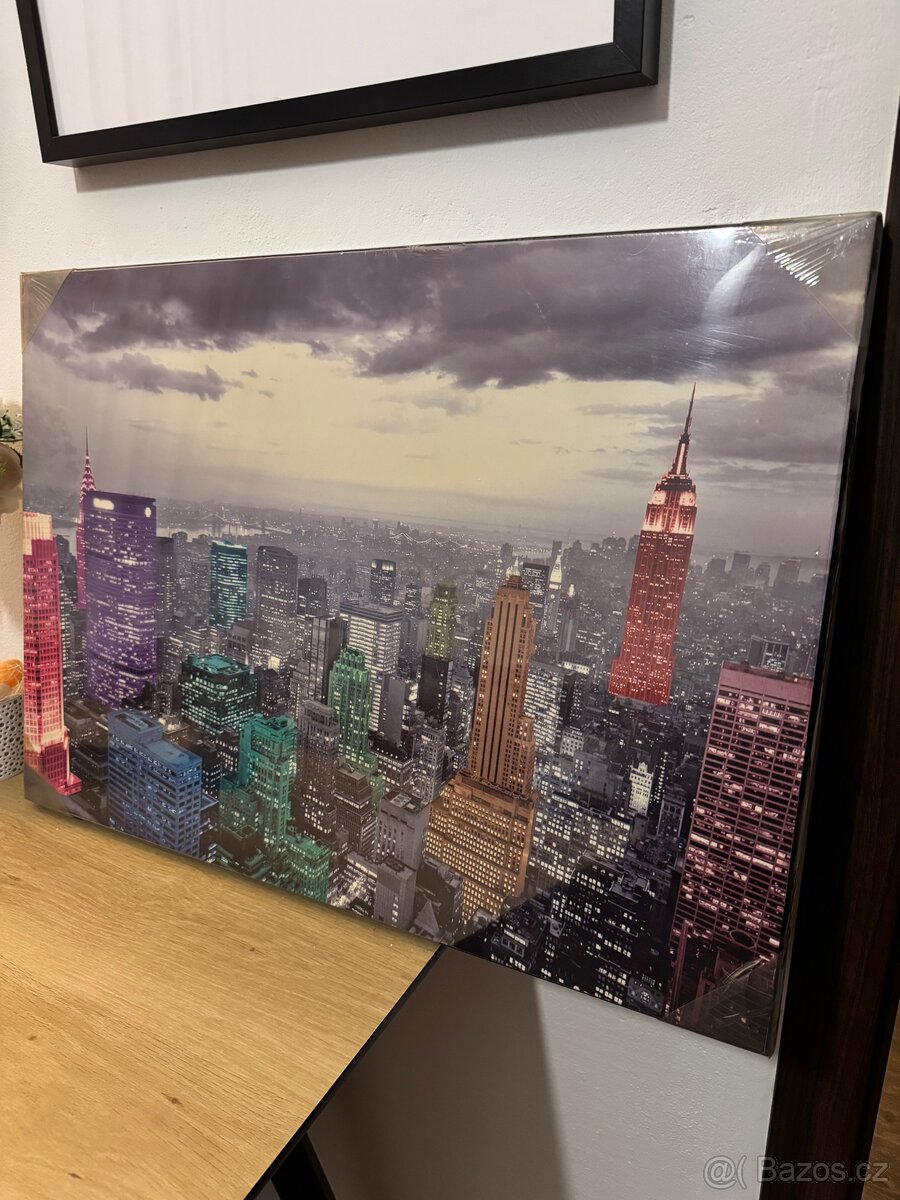 Prodám obrazy na plátně - 2