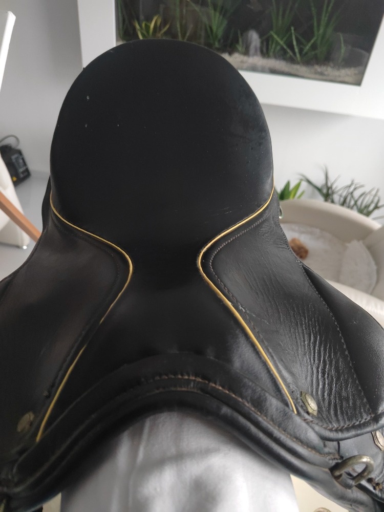 Koně, sedlo na koně - 2