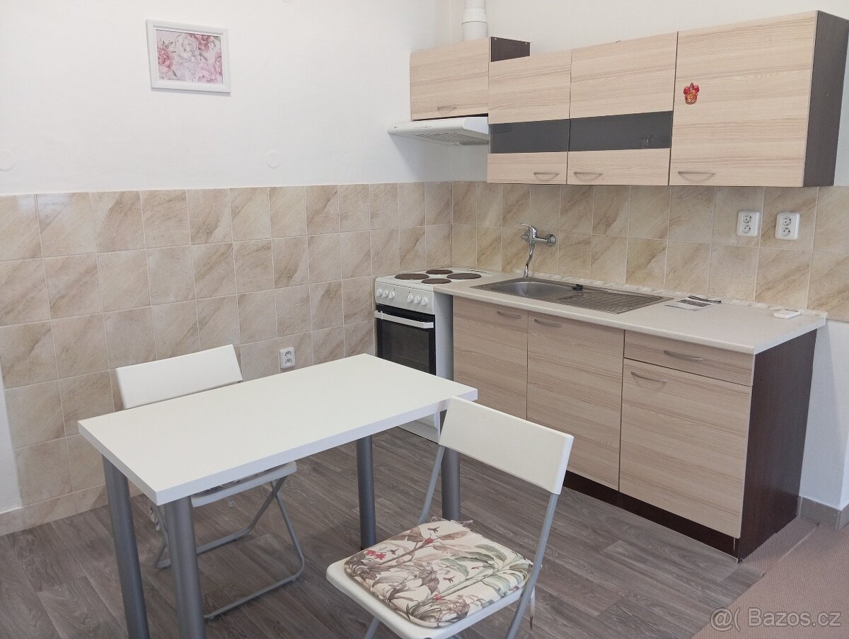 Pronajmu 1+kk kompletně zařízený 34m2 v širším centru - 2