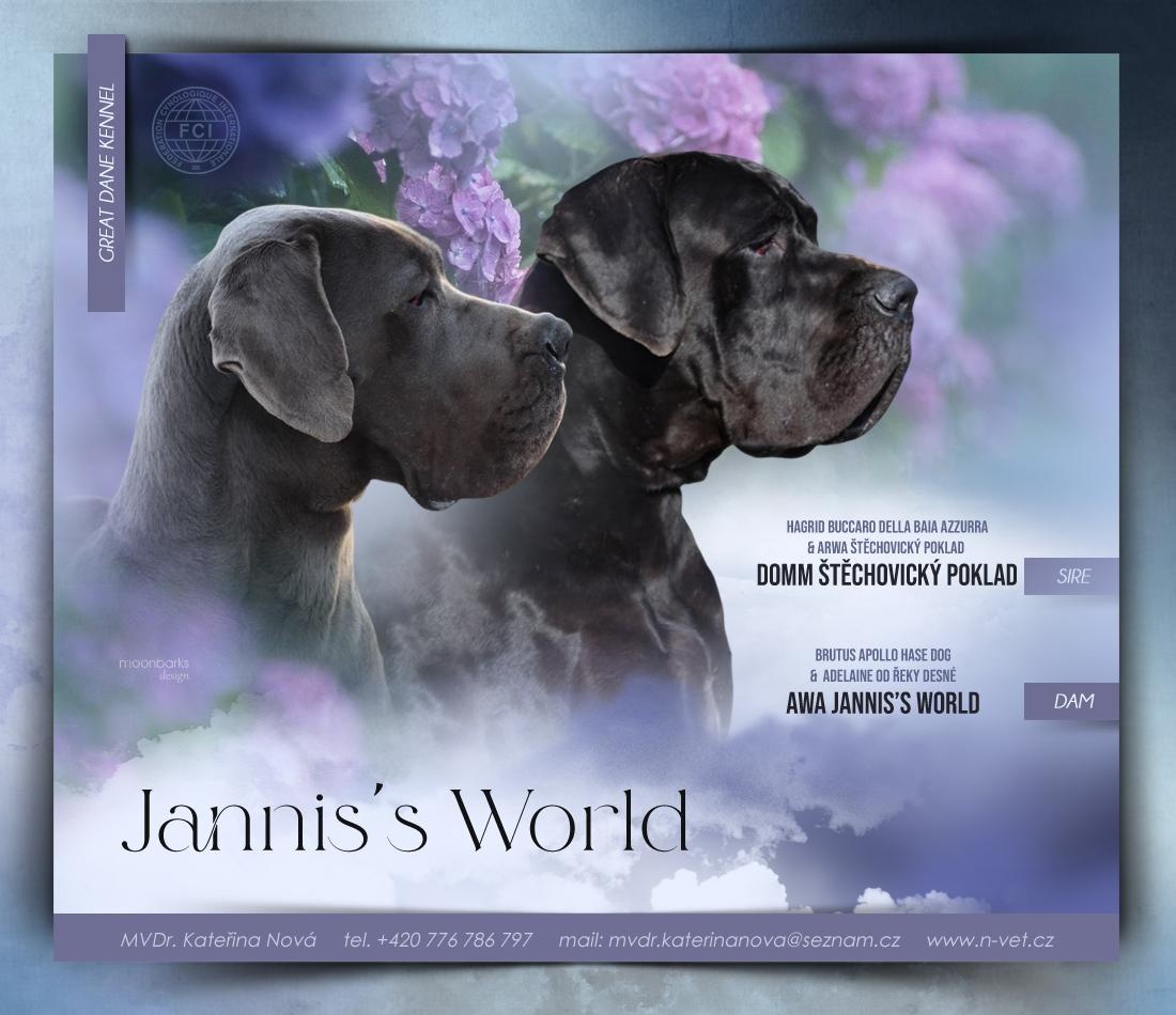 Německá doga modrá a černá s PP (FCI) - 2