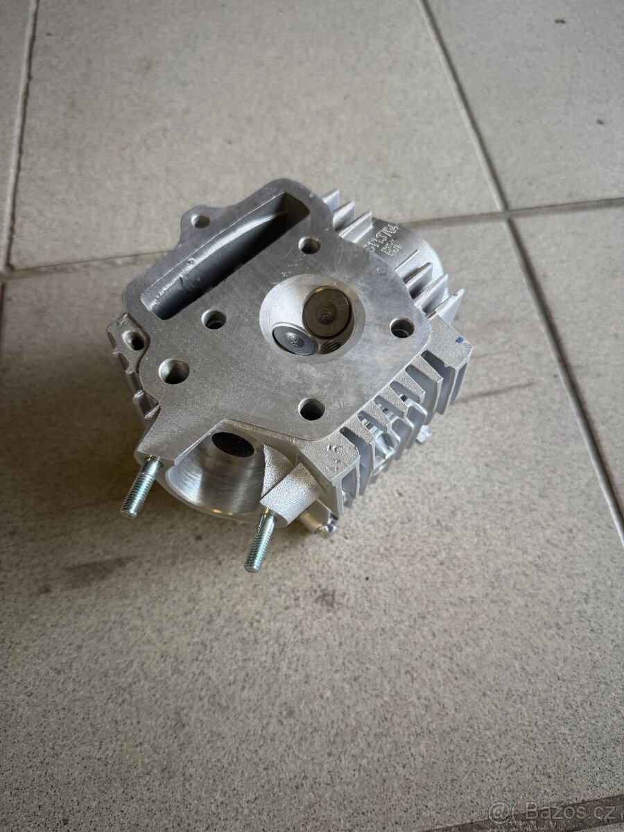 Hlava Jawa betka - 2