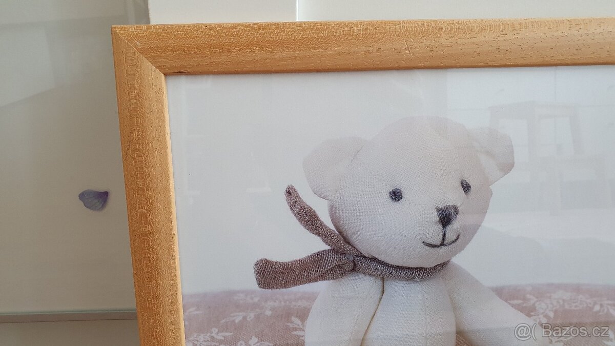 Obraz medvídek - 2