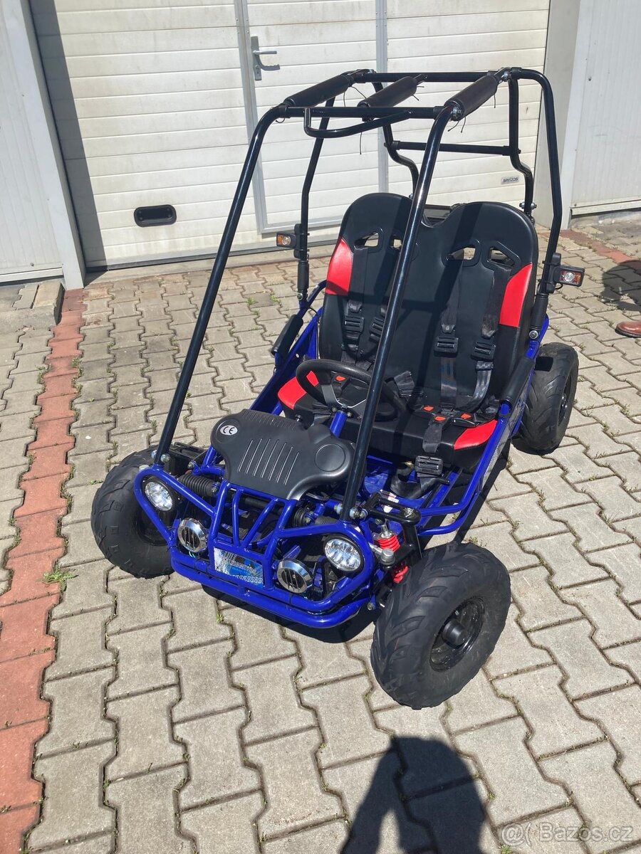 Buggy LERAMOTORS PREDATOR