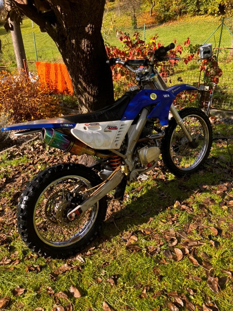 Pit bike 250