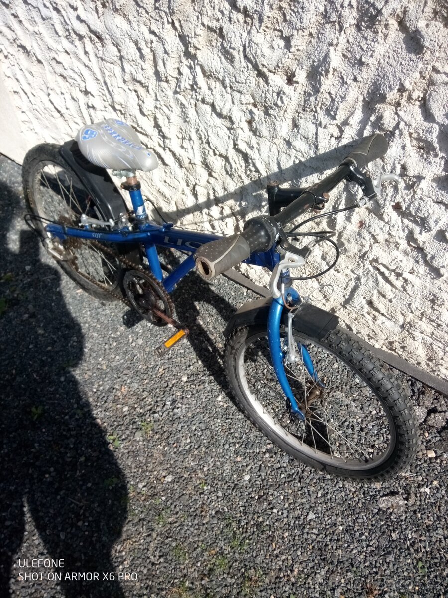 Dětské kolo 20 Lion Super - 2