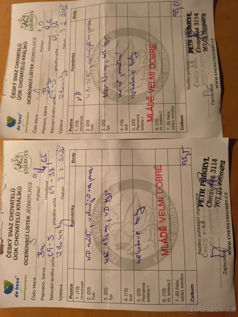 Burgundský s PP - 2