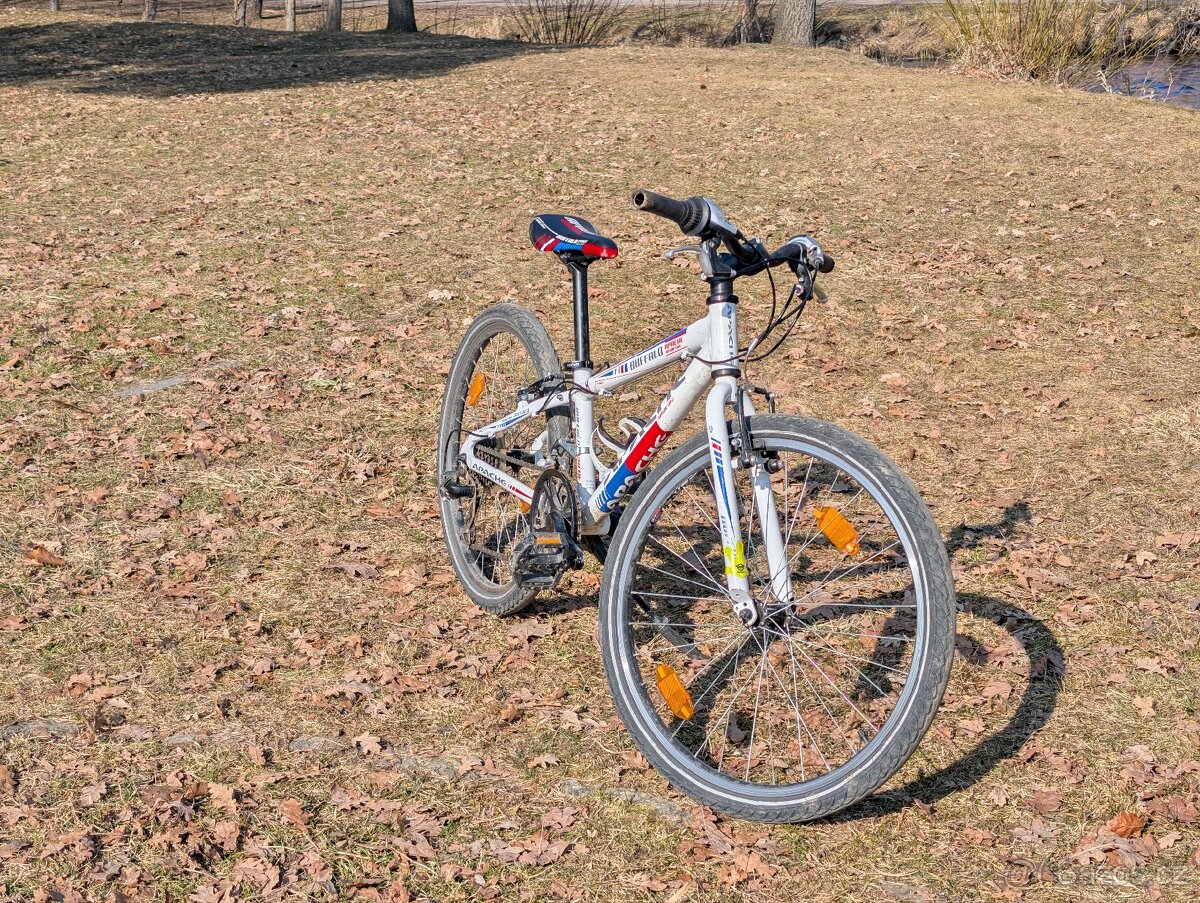 Juniorské kolo 24" Apache buffalo - 2