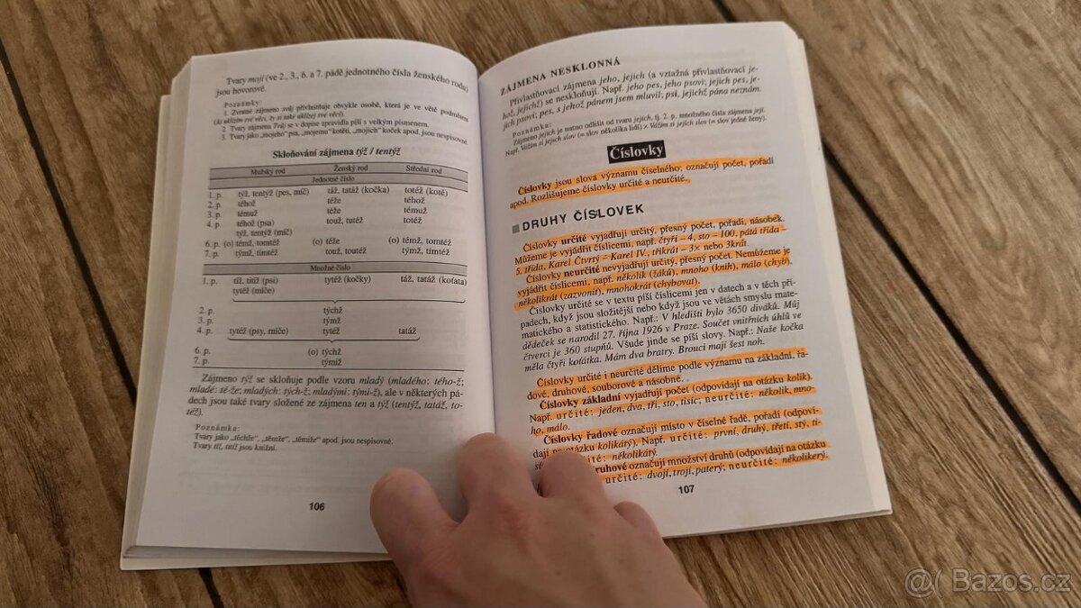 Základní mluvnice českého jazyka - Styblík a spol. - 2